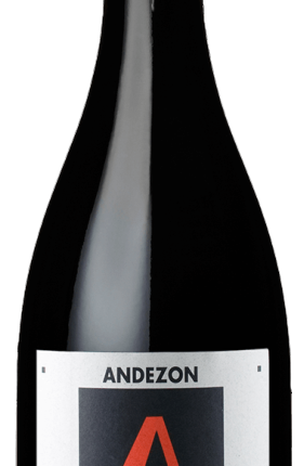 Domaine d'Andezon Cotes du Rhone 2017 750 ML