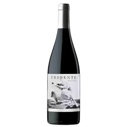 Triton Vino de la Tierra de Castilla y Leon Mencia 2011 750 ML