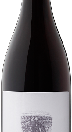 Pebble Lane Pinot Noir Rose Monterey County 2017 750 ML